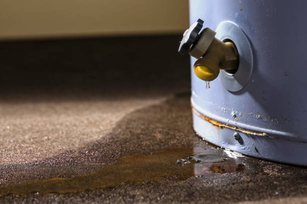 Professional Water damage restoration in Deerfield, WI