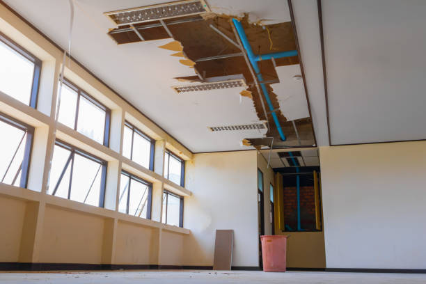 Best Local water damage restoration  in Deerfield, WI