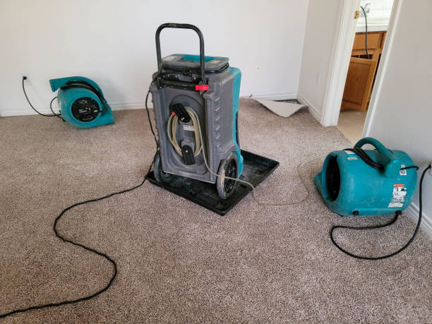 Best Ceiling water damage repair  in Deerfield, WI