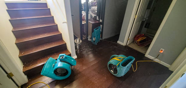 Best Flooded house restoration  in Deerfield, WI