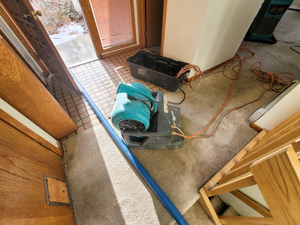 Best Carpet water damage restoration  in Deerfield, WI